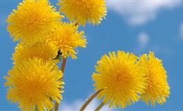 揭秘双子座为什么容易招黑？