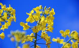 “最有可能二婚”的3个生肖女，和老公聊不投机，容易发生争吵