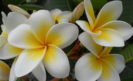 星座女神巨蟹座一周运势(7.18-7.24)