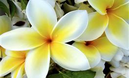 杀破狼水瓶座一周运势（7.25-7.31）