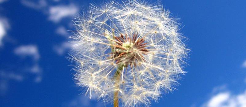 2022下半年良缘在身边？哪些命格能把握幸福？