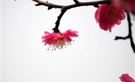 2022年7月运势提醒，这些星座将会突破眼前的瓶颈，未来可期