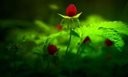 星座女神水瓶座一周运势(7.4-7.10)