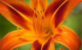 氧气占星：水瓶座2022年7月运势