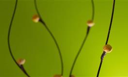 凯利.福克斯巨蟹座2022年7月运势