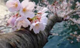 加急提醒，未来15天星座爱情大点名