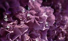 低调谈恋爱，高调说分手的星座，什么毛病？