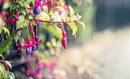 爱钱爱到骨子里的三大星座，赚钱就是他们的兴趣爱好