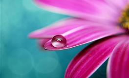 耐得住寂寞能吃苦的三大星座，他日必成人上人！