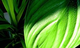 追求金牛座，真的金钱是最重要的吗？