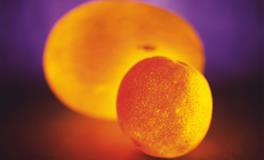 神叨酱心灵疗愈指引2022年7月29日