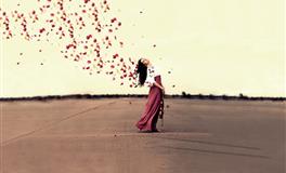 竹猫星球双鱼座一周塔罗运势（10.17-10.23）