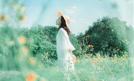 财神眷顾，2023年进账最多的生肖