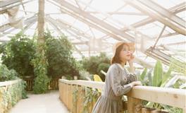 2023年4月生肖牛的运势解析