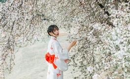 杨清华12生肖一周运势（3.27-4.2）