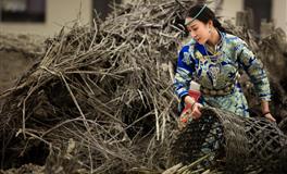 马乔丽.奥尔2023年星座运势