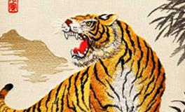 属虎的男生和属鼠的女生，缘分指数是多少