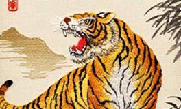 属虎的男生和属狗的女生，缘分指数是多少