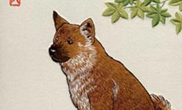 属狗的男生和属猪的女生，缘分指数是多少