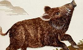 属猪的男生和属牛的女生，缘分指数是多少