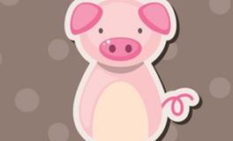 警告生肖猪，爱情不能这样子折腾