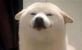 表面温柔，内在狠人，别惹这几个星座