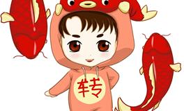 十二生肖转运旺运秘籍