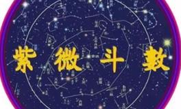 入门：聊聊紫微斗数的紫微星