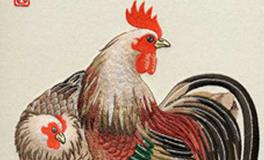 属鸡人2024年整体运势 2024年生肖鸡运势详解