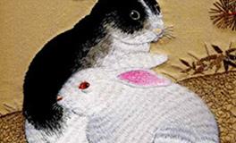 属兔人犯太岁的年份