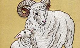 属羊人犯太岁的年份