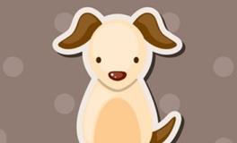 1994年的属狗人2024年全年运势及每月运势详解