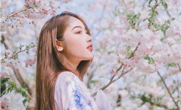 竹猫星球狮子座一周塔罗运势（8.7-8.13）