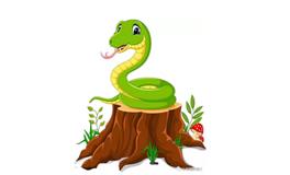 1989年属蛇的五行属什么，是什么命？