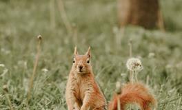 看似没心没肺，实则心思敏感的O型血！