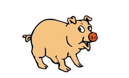 2019年属猪的五行属什么，是什么命？