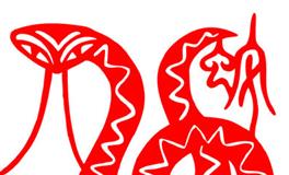 2013年属蛇的男生在2024全年的运势/运程详解