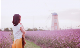 纯良美好，会被生活温柔以待的星座