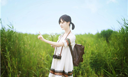 竹猫星球双子座一周塔罗运势（11.6-11.12）