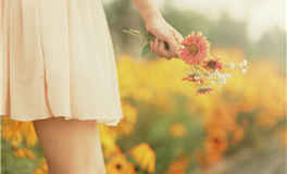 玥家樂本周爱情运势(11.13-11.19)