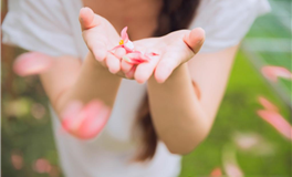 李云天一周星座运势（11.12-11.18）