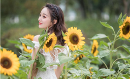 玥家樂12星座本周爱情运势(11.20-11.26)