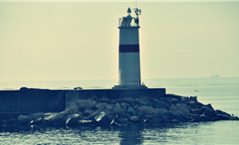 宋韶光属猪人2024年整体运程