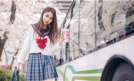 百变巫女金牛座2024年运势