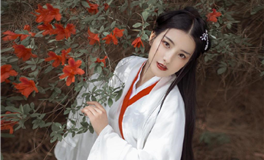 贤惠最会照顾人的生肖女