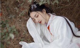 杨清华2024甲辰龙年生肖龙运势