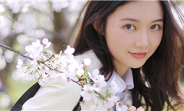 易鑫2024甲辰年生肖马运势——龙马精神，福星高照