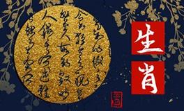 精明的让人害怕的生肖女