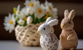 属兔人2024年幸运色和禁忌色，属兔人龙年最旺的颜色