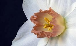 喜用神用得好，人生仿佛开了挂